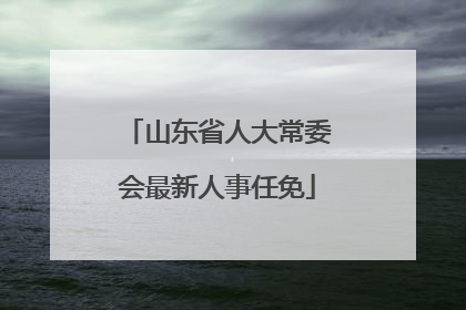 山东省人大常委会最新人事任免