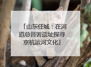 山东任城：在河道总督署遗址探寻京杭运河文化