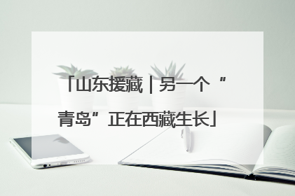 山东援藏｜另一个“青岛”正在西藏生长