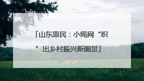 山东惠民：小绳网“织”出乡村振兴新图景