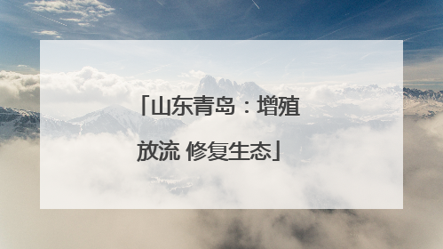 山东青岛：增殖放流 修复生态