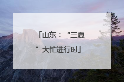 山东：“三夏”大忙进行时