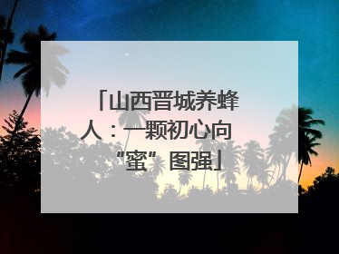 山西晋城养蜂人：一颗初心向“蜜”图强