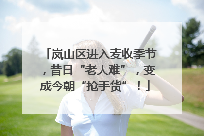 岚山区进入麦收季节，昔日“老大难”，变成今朝“抢手货”！