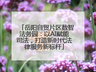 岳阳自贸片区数智法务园：以AI赋能司法，打造新时代法律服务新标杆