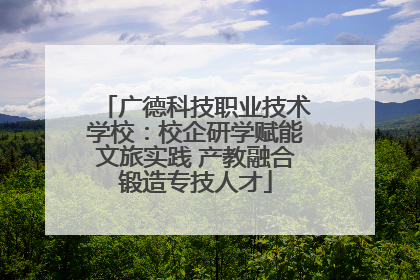 广德科技职业技术学校：校企研学赋能文旅实践 产教融合锻造专技人才