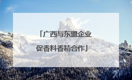 广西与东盟企业促香料香精合作