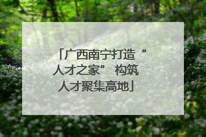 广西南宁打造“人才之家” 构筑人才聚集高地