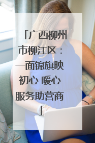 广西柳州市柳江区：一面锦旗映初心 暖心服务助营商