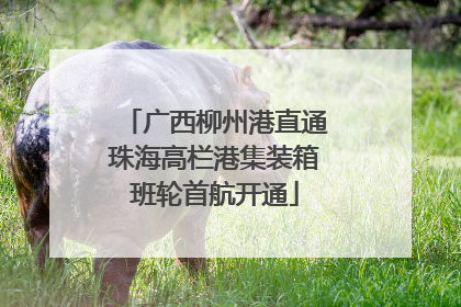 广西柳州港直通珠海高栏港集装箱班轮首航开通