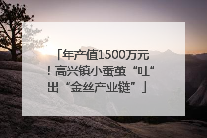 年产值1500万元！高兴镇小蚕茧“吐”出“金丝产业链”