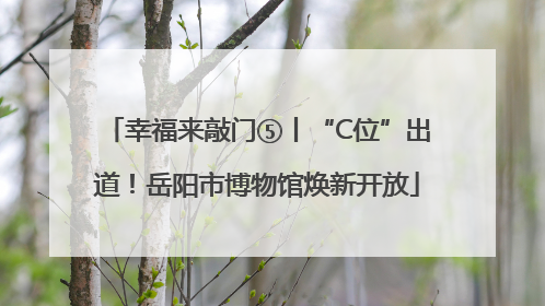 幸福来敲门⑤丨“C位”出道！岳阳市博物馆焕新开放