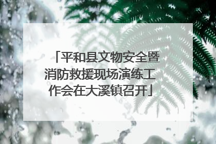 平和县文物安全暨消防救援现场演练工作会在大溪镇召开