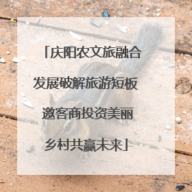庆阳农文旅融合发展破解旅游短板 邀客商投资美丽乡村共赢未来