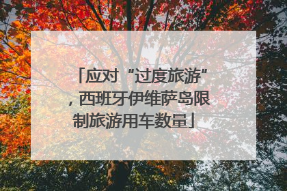 应对“过度旅游”，西班牙伊维萨岛限制旅游用车数量