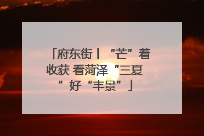 府东街丨“芒”着收获 看菏泽“三夏”好“丰景”