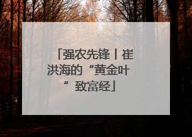 强农先锋丨崔洪海的“黄金叶”致富经