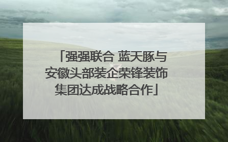强强联合 蓝天豚与安徽头部装企荣锋装饰集团达成战略合作