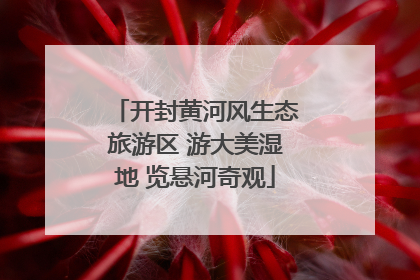 开封黄河风生态旅游区 游大美湿地 览悬河奇观