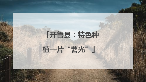 开鲁县：特色种植一片“薯光”