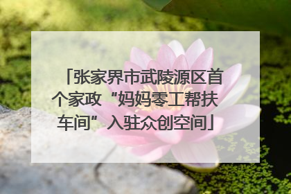 张家界市武陵源区首个家政“妈妈零工帮扶车间”入驻众创空间