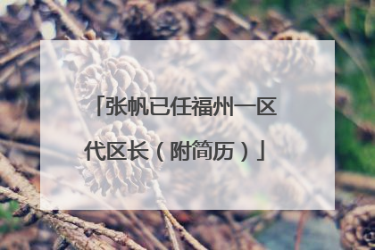 张帆已任福州一区代区长（附简历）