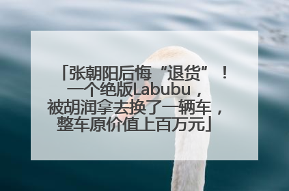 张朝阳后悔“退货”！一个绝版Labubu，被胡润拿去换了一辆车，整车原价值上百万元