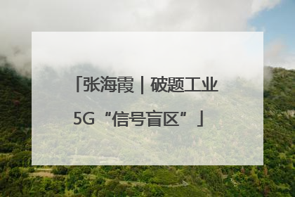张海霞｜破题工业5G“信号盲区”