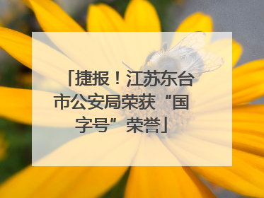 捷报！江苏东台市公安局荣获“国字号”荣誉