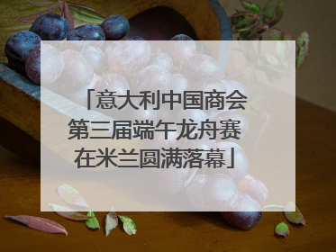 意大利中国商会第三届端午龙舟赛在米兰圆满落幕