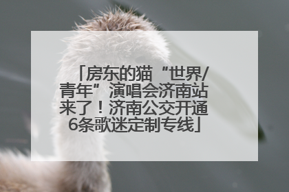 房东的猫“世界/青年”演唱会济南站来了！济南公交开通6条歌迷定制专线
