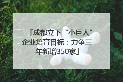成都立下“小巨人”企业培育目标：力争三年新增350家