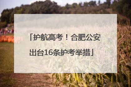 护航高考！合肥公安出台16条护考举措