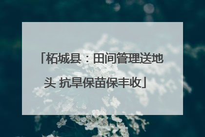 柘城县：田间管理送地头 抗旱保苗保丰收