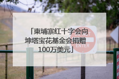 柬埔寨红十字会向坤塔宝花基金会捐赠100万美元