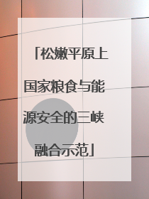 松嫩平原上国家粮食与能源安全的三峡融合示范