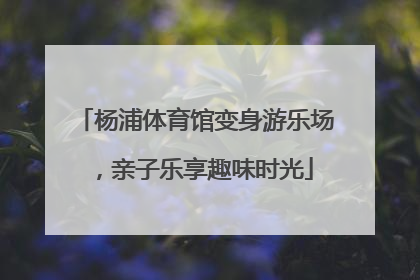 杨浦体育馆变身游乐场，亲子乐享趣味时光
