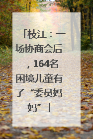 枝江：一场协商会后，164名困境儿童有了“委员妈妈”