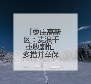 枣庄高新区：麦浪千重收割忙 多措并举保丰收