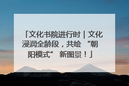 文化书院进行时｜文化浸润全龄段，共绘 “朝阳模式” 新图景！
