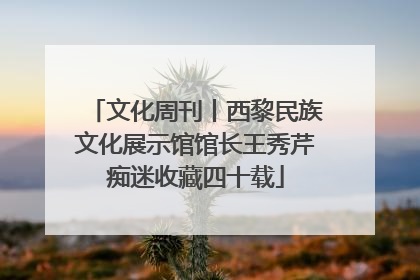 文化周刊丨西黎民族文化展示馆馆长王秀芹痴迷收藏四十载