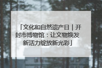 文化和自然遗产日｜开封市博物馆：让文物焕发新活力绽放新光彩