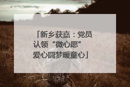 新乡获嘉：党员认领“微心愿” 爱心圆梦暖童心