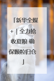 新华全媒+｜全力抢收夏粮 确保颗粒归仓
