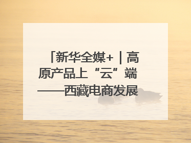 新华全媒+｜高原产品上“云”端——西藏电商发展一线观察