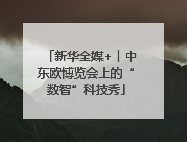 新华全媒+丨中东欧博览会上的“数智”科技秀