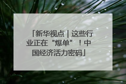 新华视点｜这些行业正在“爆单”！中国经济活力密码