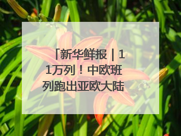 新华鲜报｜11万列！中欧班列跑出亚欧大陆“新时速”