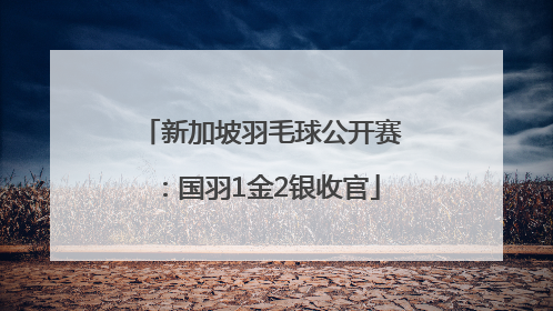 新加坡羽毛球公开赛：国羽1金2银收官