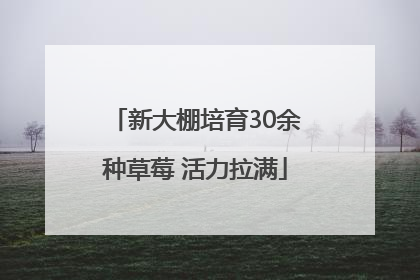 新大棚培育30余种草莓 活力拉满